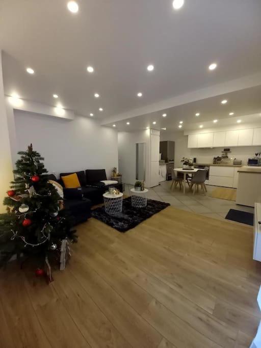 Superbe Appartement Moderne En Rez-De-Chaussee Ozoir-la-Ferriere Bagian luar foto